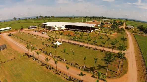 A fazenda