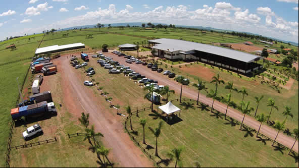 A Fazenda